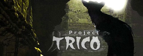 projecttrico.jpg