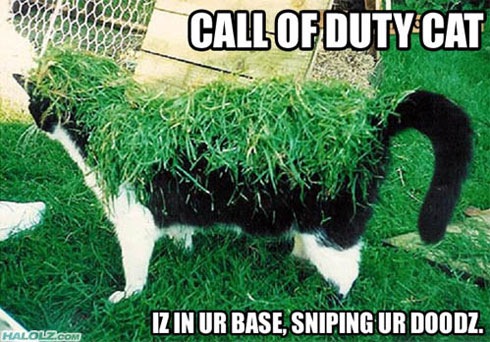 COdCat