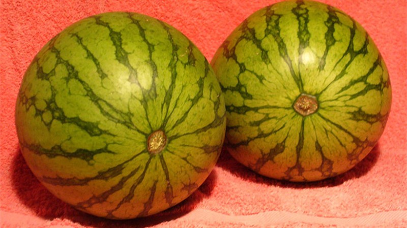 Melons