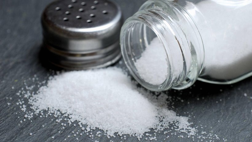 Salt