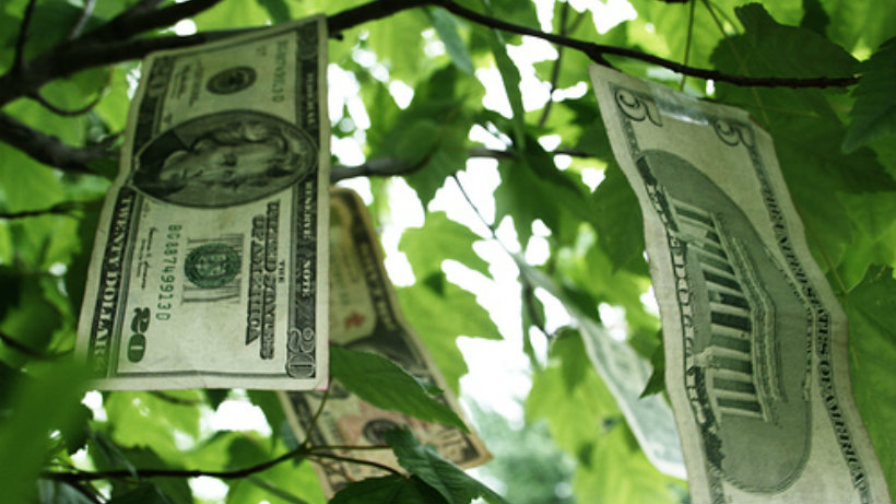 Money Growing on Trees