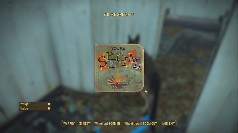 Fallout-4-Special