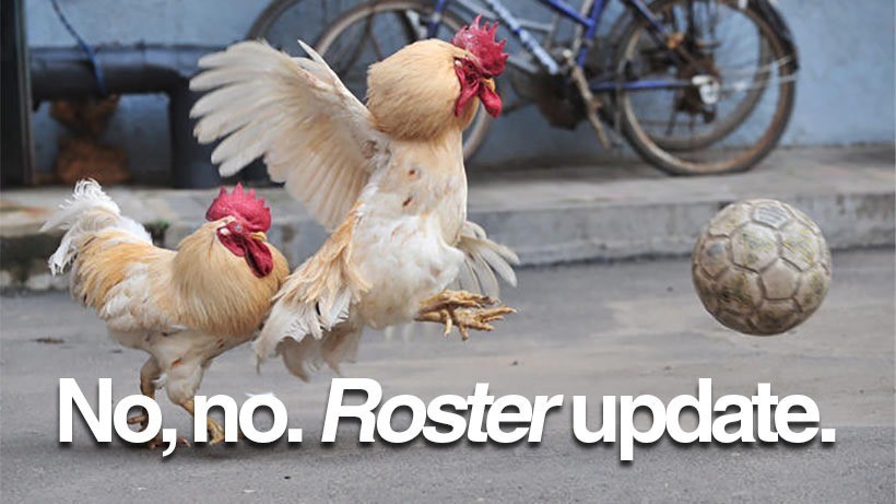 Rooster