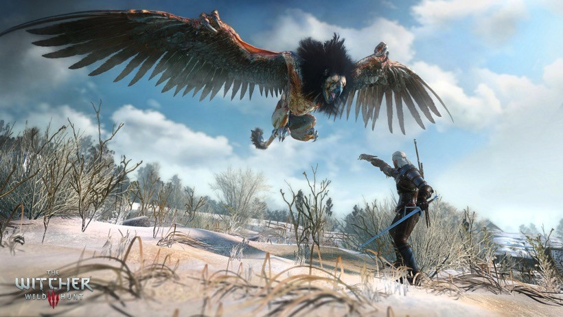 The Witcher 3 Wild Hunt Various types of enemies require different approach