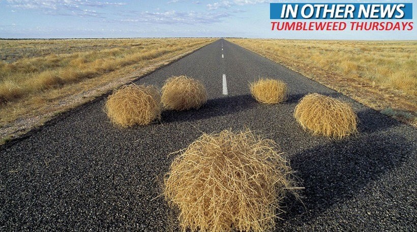 Tumbleweed ION