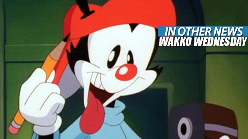 wakko