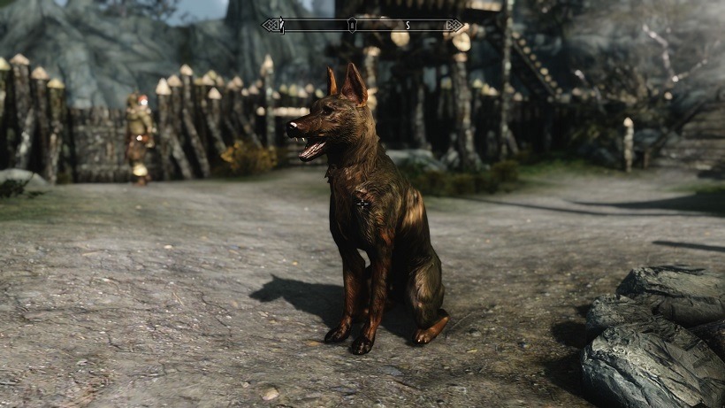 One mission to adopt a dog in Skyrim