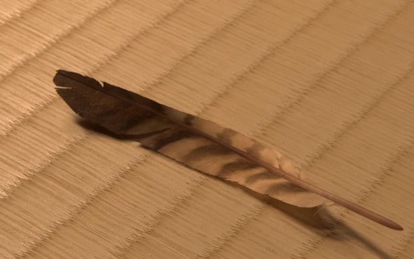 Feather