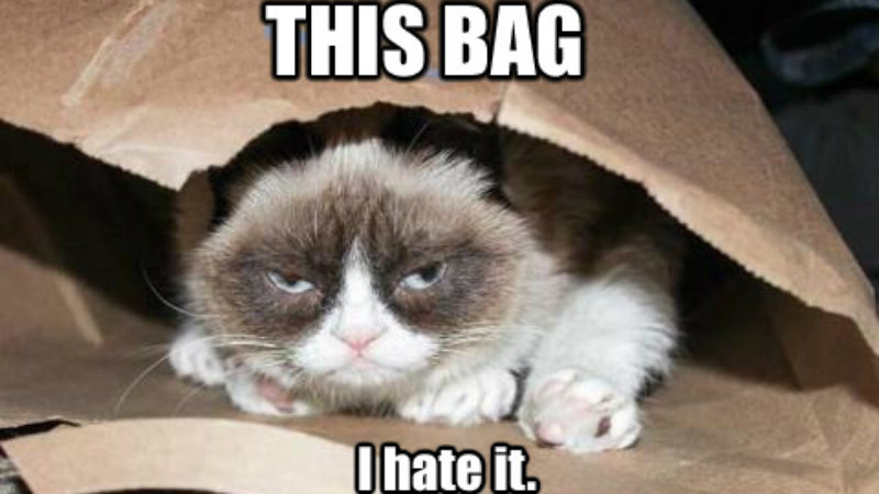 Grumpy cat out of the bag