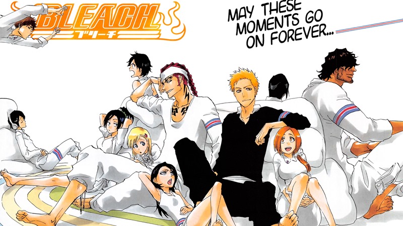 Bleach Relationships Chart