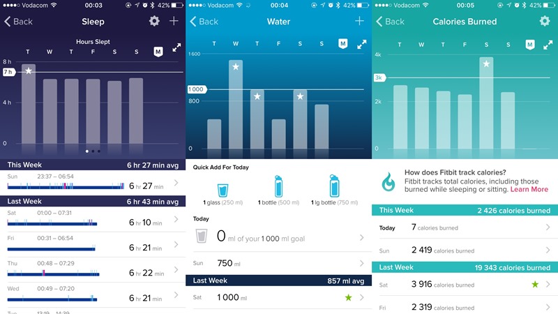 Fitbit Graphs