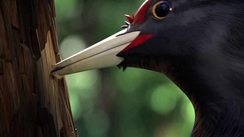 Woodpecker