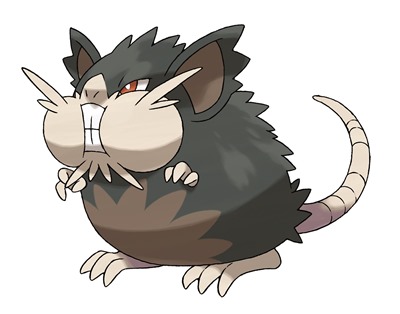 Alolan Raticate