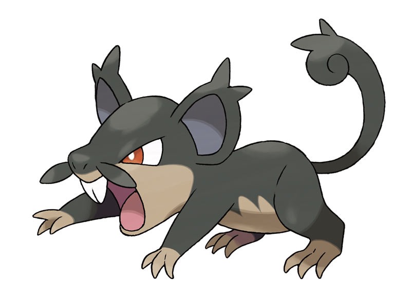 Alolan-Rattata