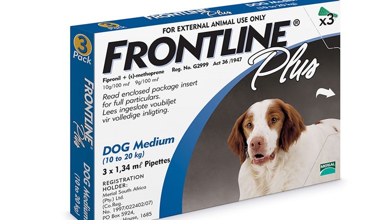 frontline