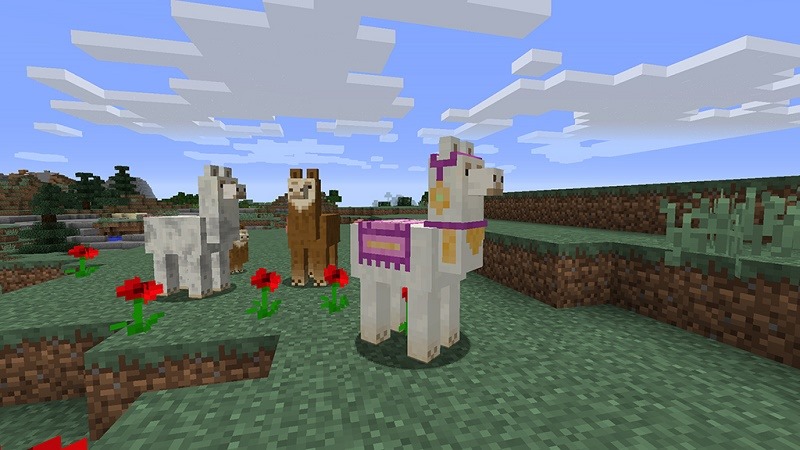 llamas Minecraft