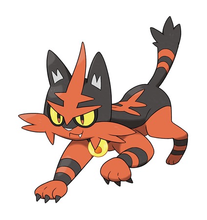 Torracat