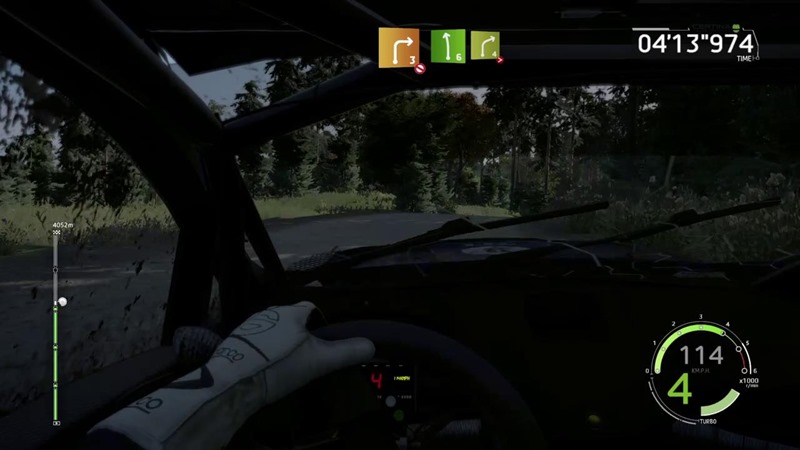 WRC 6 (5)