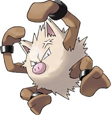 primeape