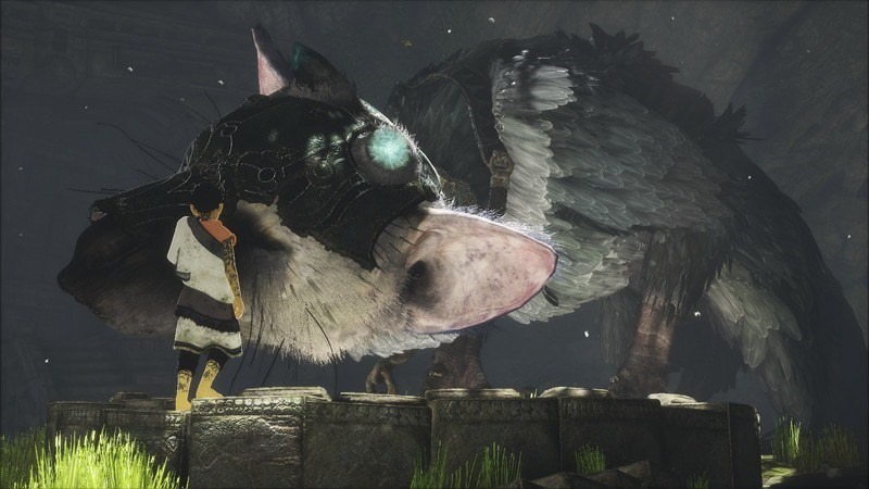 The Last Guardian (2)