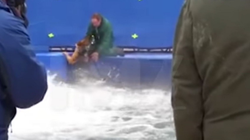 A Dog's Purpose german shepard abuse surfaces