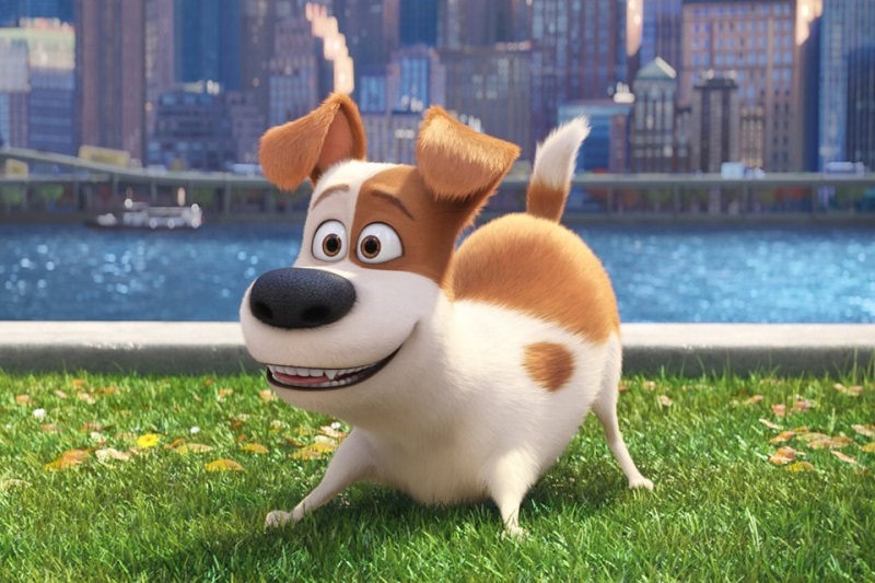 Illumination - Secret Life of pets