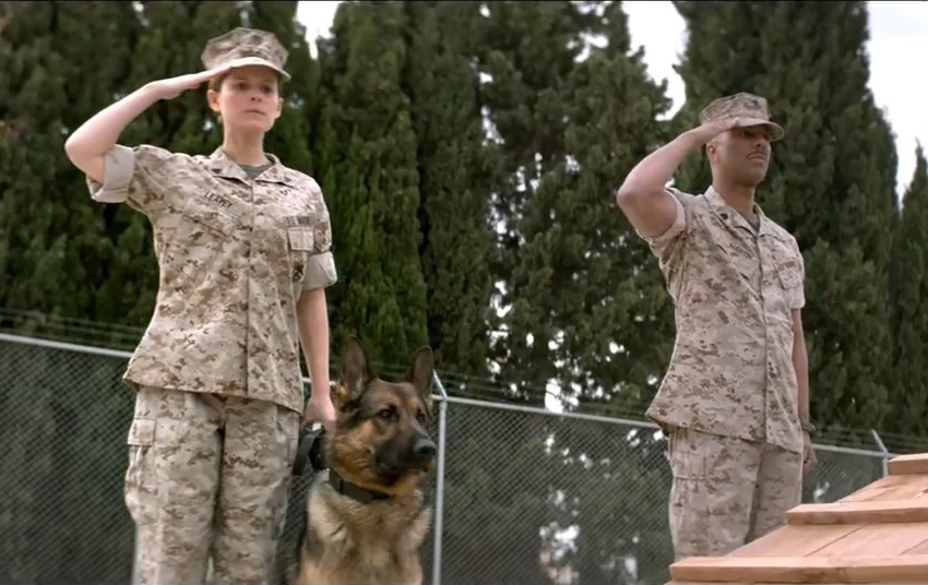 Megan Leavey: Marine Bonds With Combat Dog in Dramatic Documentary