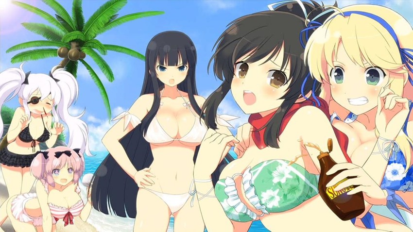 Senran Kagura Estival Versus