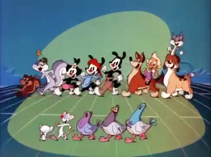 Animaniacs (3)