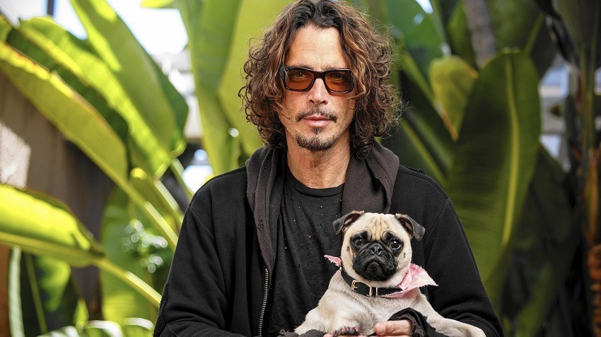 Chris Cornell has died at 52