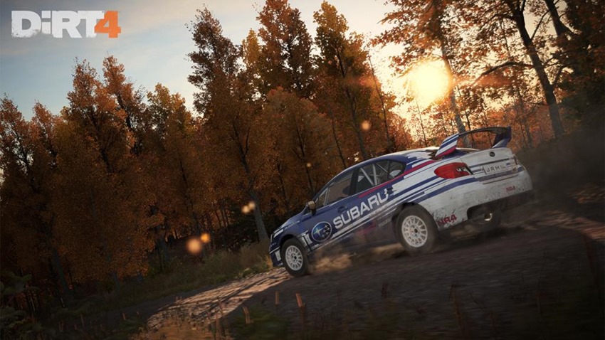 Dirt 4 (7)