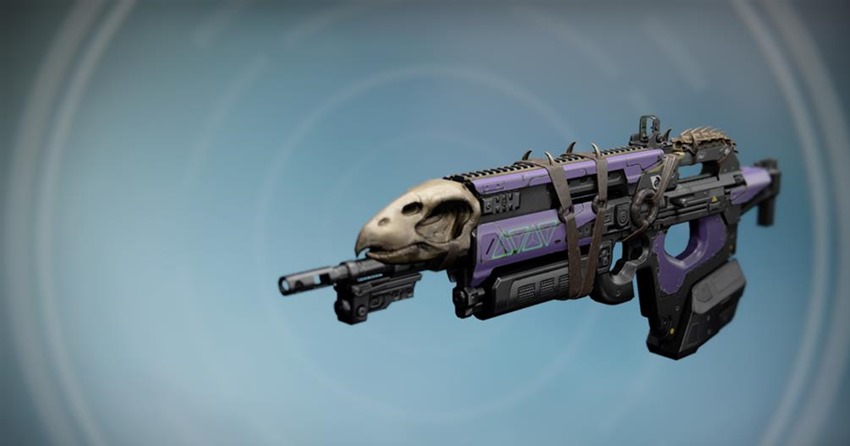 Destiny guns (1)