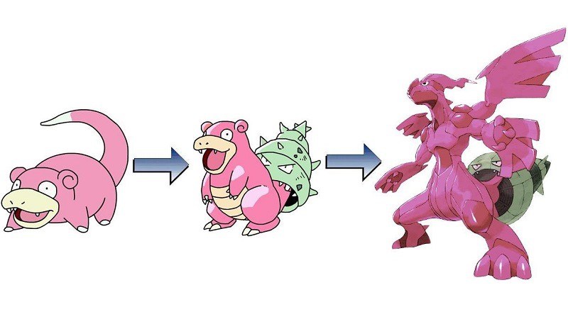 accelgor evolution chart