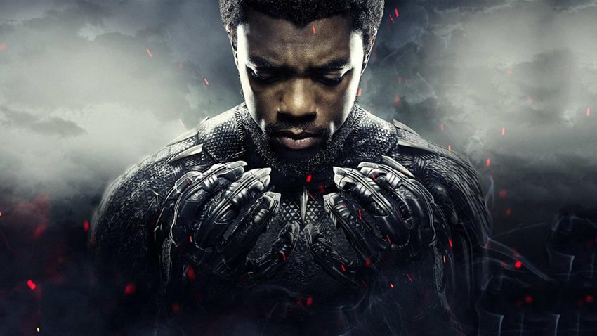 Black Panther (2)