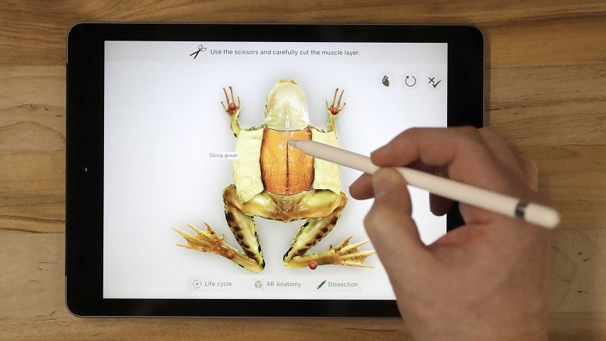 Apple reveals new Apple iPad 9.7 inch