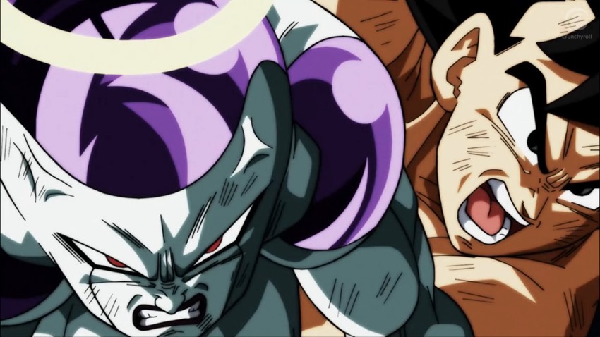 Dragon Ball Super (4)