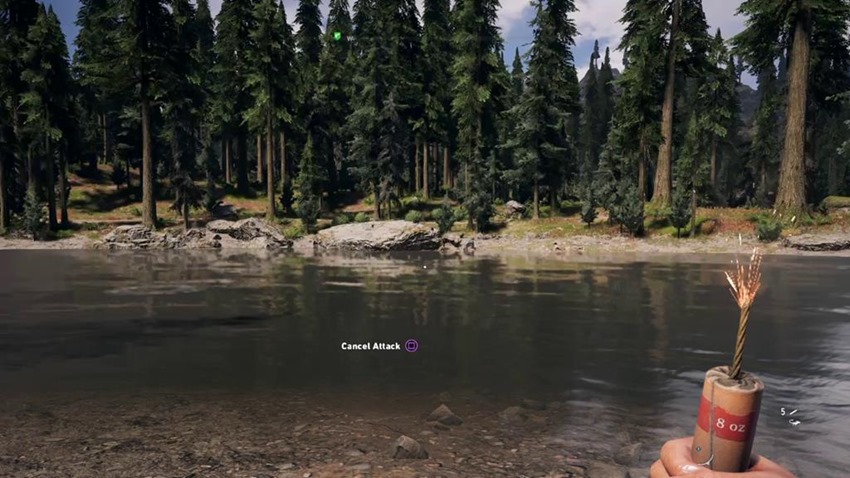 Far Cry fishing (9)