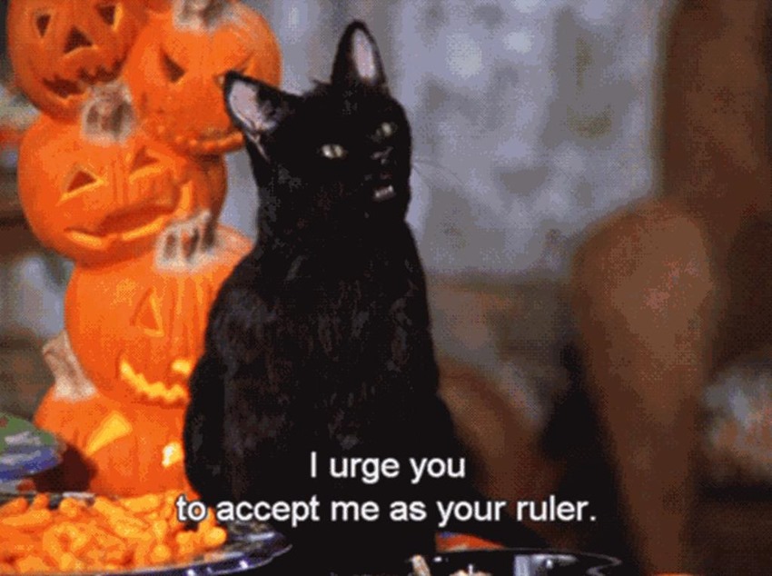 Salem