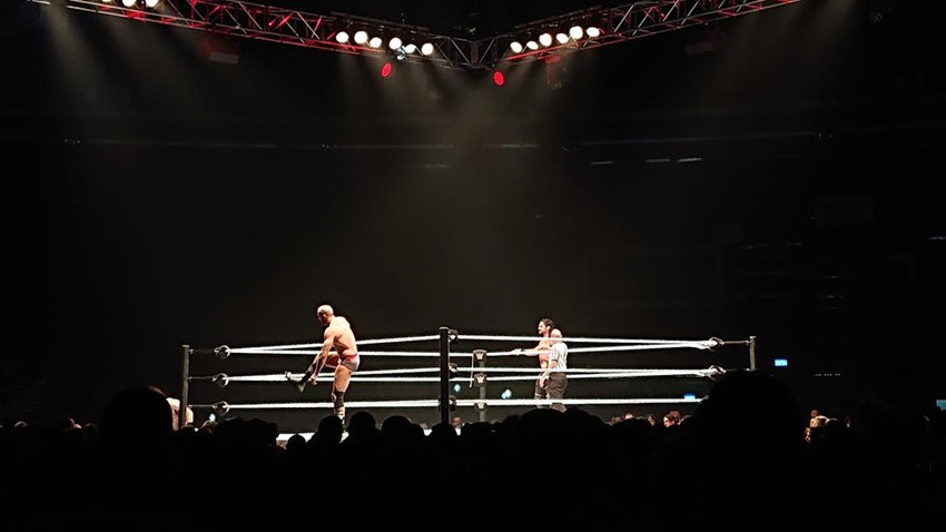 WWE Live (21)