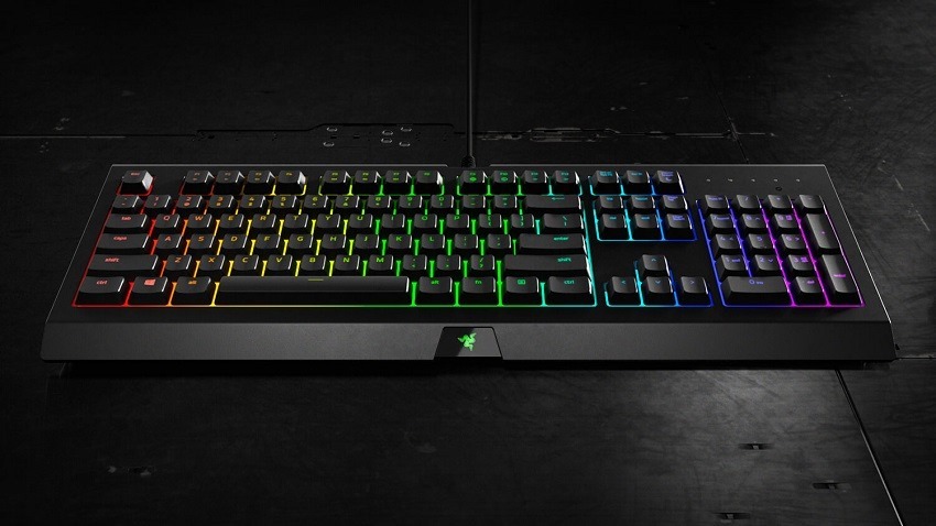 34de52853066641734909fcc702e7c5f-Razer-Cynosa-Chroma-gallery-03