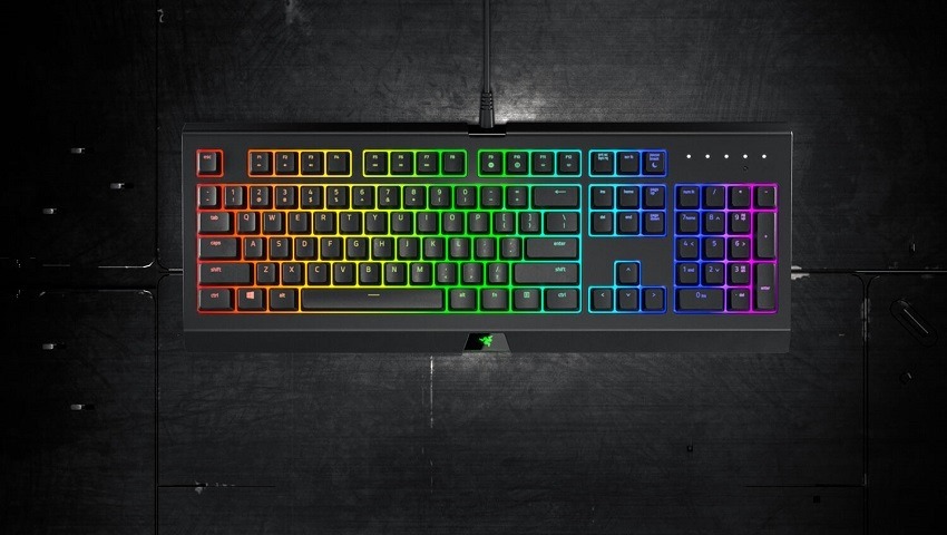 a263e87c537813d9ba9fa47b6dbfb6b2-Razer-Cynosa-Chroma-gallery-02