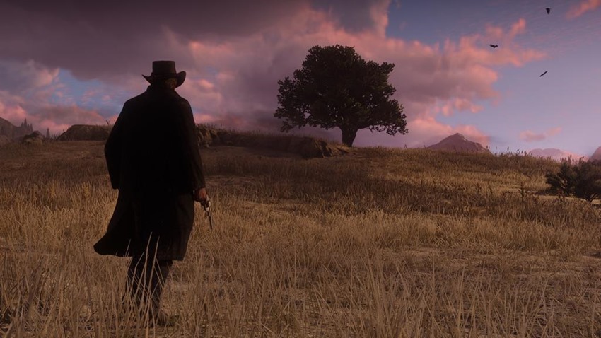 Red Dead Redemption 2 (5)