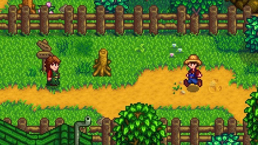 Stardew Valley Multiplayer Update Hits The Farm This August