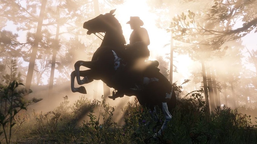 Red Dead Redemption 2 (21)