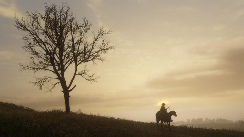 Red Dead Redemption 2 (3)