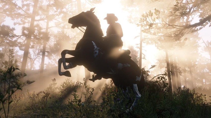 Red Dead Redemption 2 (45)