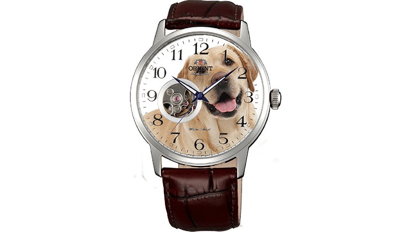 Watch-Dog