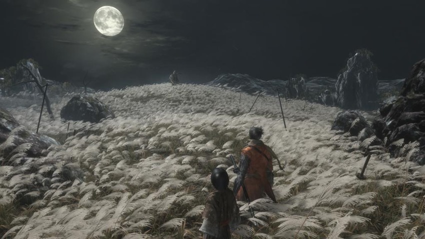 Sekiro (3)