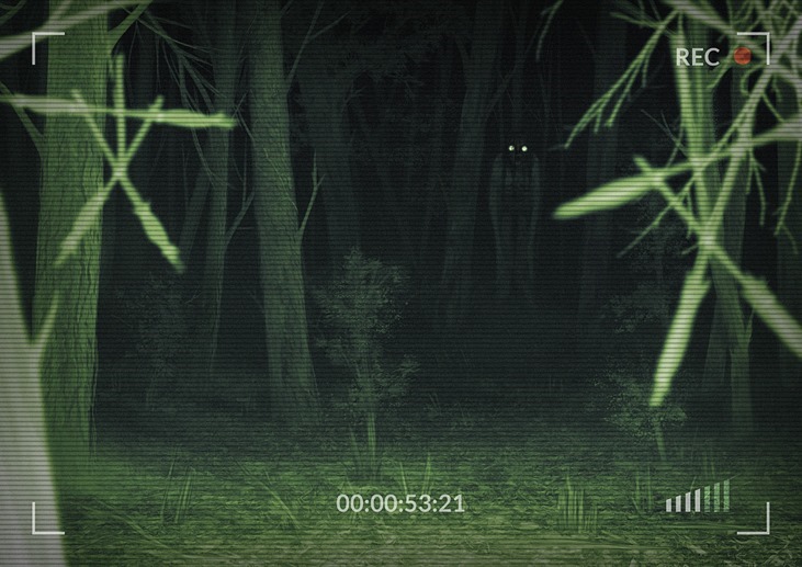 E3 2019the Blair Witch Is Getting A Videogame 8312