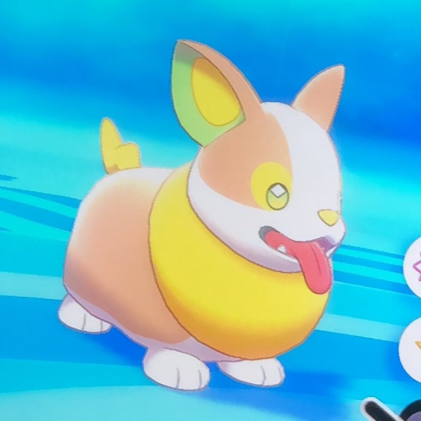 Yamper (1)